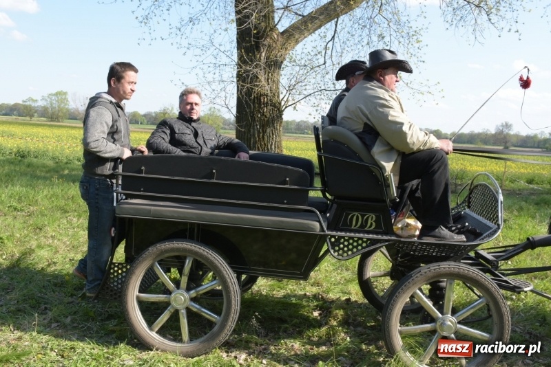 Zdjęcie w galerii na portalu naszraciborz.pl: Rekordowa liczba koni w Bieńkowicach [FOTO i WIDEO] wiadomości z regionu