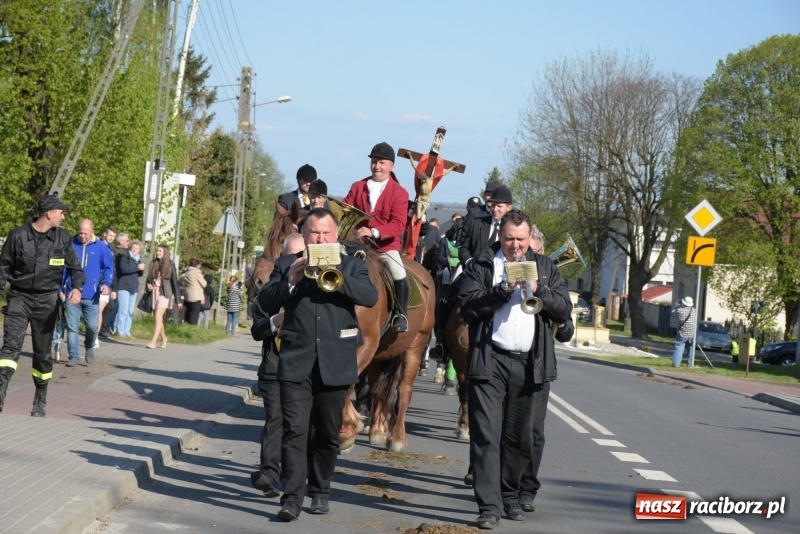 Zdjęcie w galerii na portalu naszraciborz.pl: Rekordowa liczba koni w Bieńkowicach [FOTO i WIDEO] wiadomości z regionu