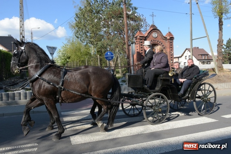 Zdjęcie w galerii na portalu naszraciborz.pl: Rekordowa liczba koni w Bieńkowicach [FOTO i WIDEO] wiadomości z regionu