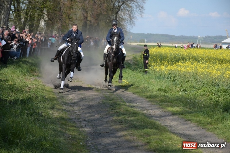 Zdjęcie w galerii na portalu naszraciborz.pl: Rekordowa liczba koni w Bieńkowicach [FOTO i WIDEO] wiadomości z regionu