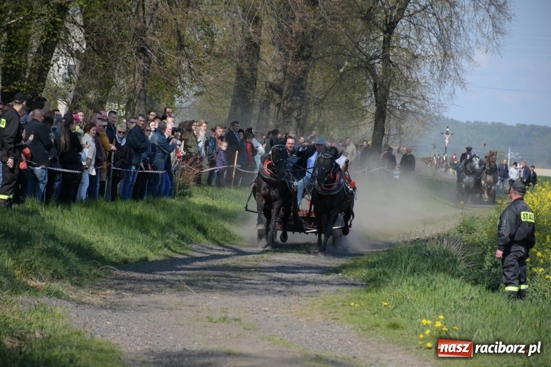 Zdjęcie w galerii na portalu naszraciborz.pl: Rekordowa liczba koni w Bieńkowicach [FOTO i WIDEO] wiadomości z regionu