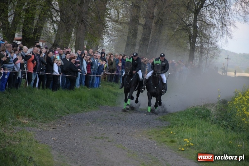 Zdjęcie w galerii na portalu naszraciborz.pl: Rekordowa liczba koni w Bieńkowicach [FOTO i WIDEO] wiadomości z regionu