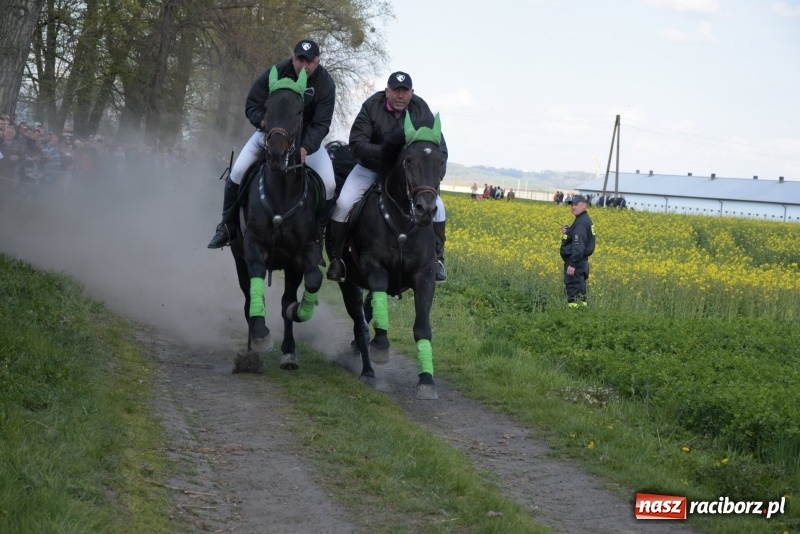 Zdjęcie w galerii na portalu naszraciborz.pl: Rekordowa liczba koni w Bieńkowicach [FOTO i WIDEO] wiadomości z regionu