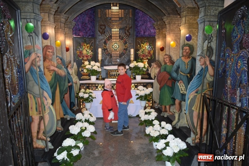 Zdjęcie w galerii na portalu naszraciborz.pl: Rekordowa liczba koni w Bieńkowicach [FOTO i WIDEO] wiadomości z regionu