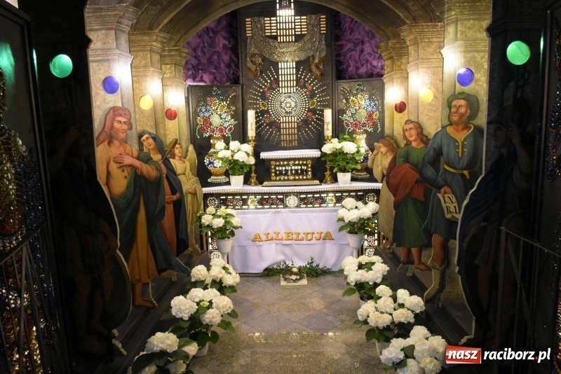 Zdjęcie w galerii na portalu naszraciborz.pl: Rekordowa liczba koni w Bieńkowicach [FOTO i WIDEO] wiadomości z regionu