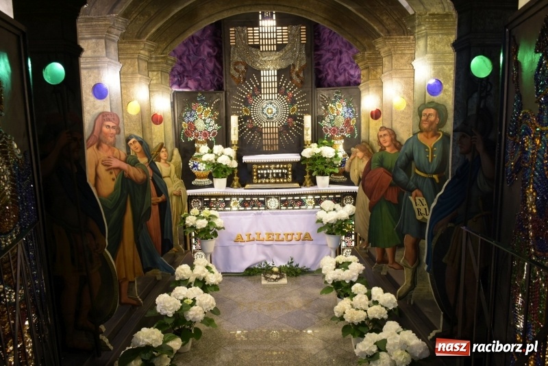 Zdjęcie w galerii na portalu naszraciborz.pl: Rekordowa liczba koni w Bieńkowicach [FOTO i WIDEO] wiadomości z regionu