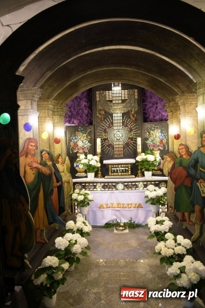 Zdjęcie w galerii na portalu naszraciborz.pl: Rekordowa liczba koni w Bieńkowicach [FOTO i WIDEO] wiadomości z regionu