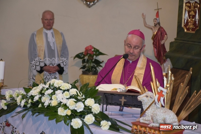 Zdjęcie w galerii na portalu naszraciborz.pl: Rekordowa liczba koni w Bieńkowicach [FOTO i WIDEO] wiadomości z regionu