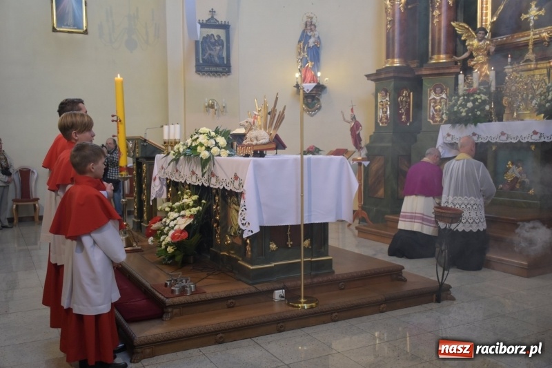 Zdjęcie w galerii na portalu naszraciborz.pl: Rekordowa liczba koni w Bieńkowicach [FOTO i WIDEO] wiadomości z regionu