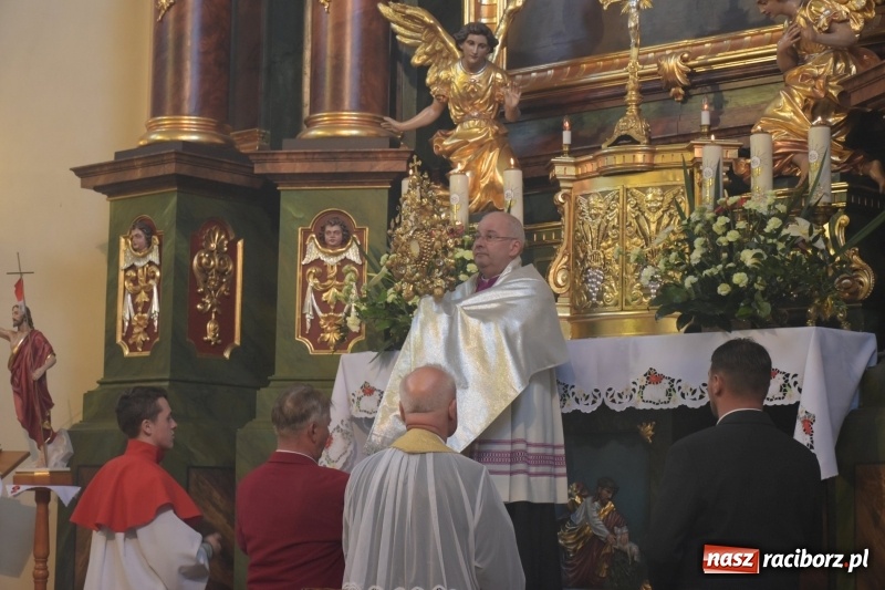 Zdjęcie w galerii na portalu naszraciborz.pl: Rekordowa liczba koni w Bieńkowicach [FOTO i WIDEO] wiadomości z regionu
