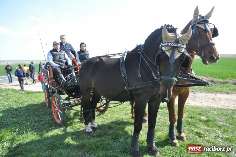 Zdjęcie w galerii na portalu naszraciborz.pl: Na procesji w Sudole biskup z Katowic oraz debiut nowego prezydenta [FOTO i WIDEO] wiadomości z regionu