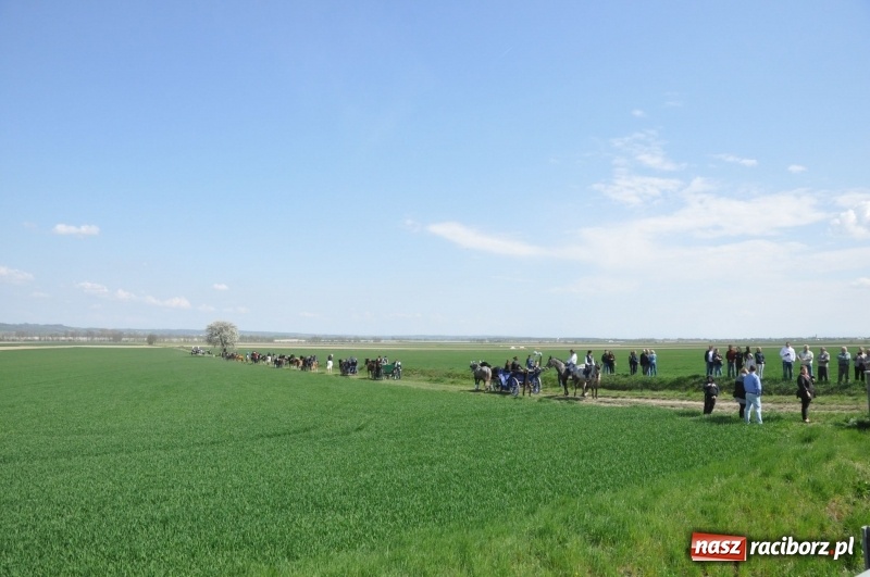 Zdjęcie w galerii na portalu naszraciborz.pl: Na procesji w Sudole biskup z Katowic oraz debiut nowego prezydenta [FOTO i WIDEO] wiadomości z regionu