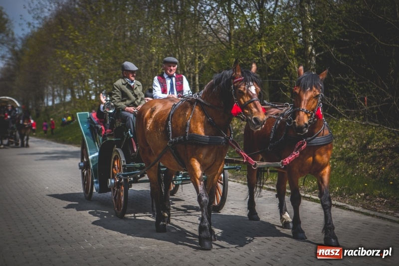 Zdjęcie w galerii na portalu naszraciborz.pl: Procesja konna w Pietrowicach Wielkich z premierem na pokładzie [FOTO i WIDEO] wiadomości z regionu