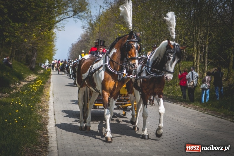 Zdjęcie w galerii na portalu naszraciborz.pl: Procesja konna w Pietrowicach Wielkich z premierem na pokładzie [FOTO i WIDEO] wiadomości z regionu