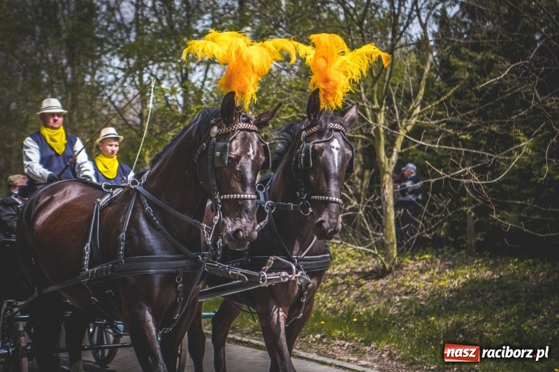 Zdjęcie w galerii na portalu naszraciborz.pl: Procesja konna w Pietrowicach Wielkich z premierem na pokładzie [FOTO i WIDEO] wiadomości z regionu