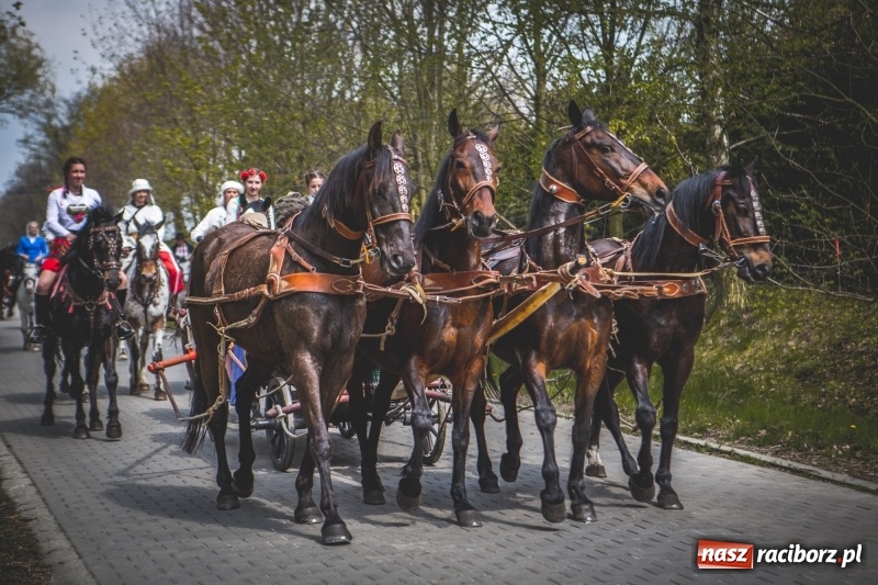 Zdjęcie w galerii na portalu naszraciborz.pl: Procesja konna w Pietrowicach Wielkich z premierem na pokładzie [FOTO i WIDEO] wiadomości z regionu