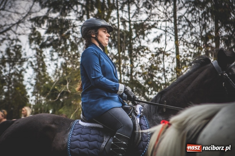 Zdjęcie w galerii na portalu naszraciborz.pl: Procesja konna w Pietrowicach Wielkich z premierem na pokładzie [FOTO i WIDEO] wiadomości z regionu