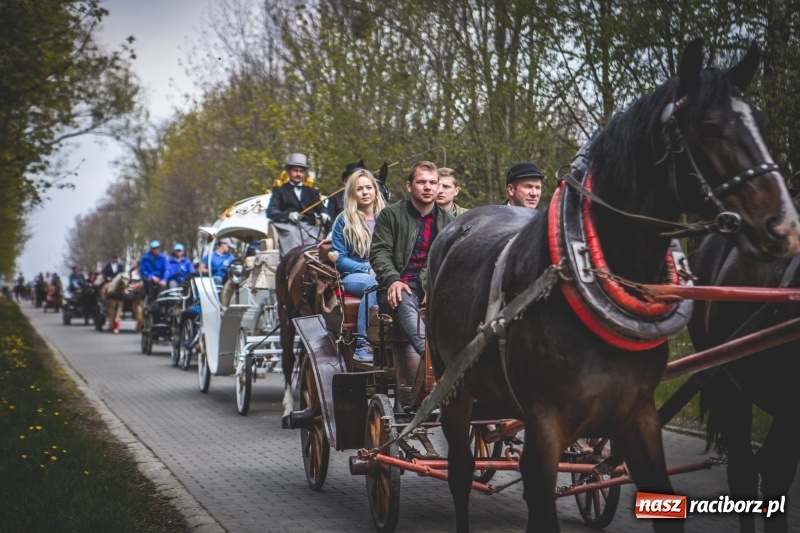 Zdjęcie w galerii na portalu naszraciborz.pl: Procesja konna w Pietrowicach Wielkich z premierem na pokładzie [FOTO i WIDEO] wiadomości z regionu