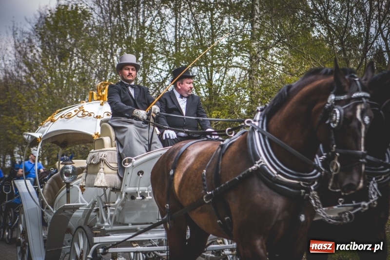 Zdjęcie w galerii na portalu naszraciborz.pl: Procesja konna w Pietrowicach Wielkich z premierem na pokładzie [FOTO i WIDEO] wiadomości z regionu