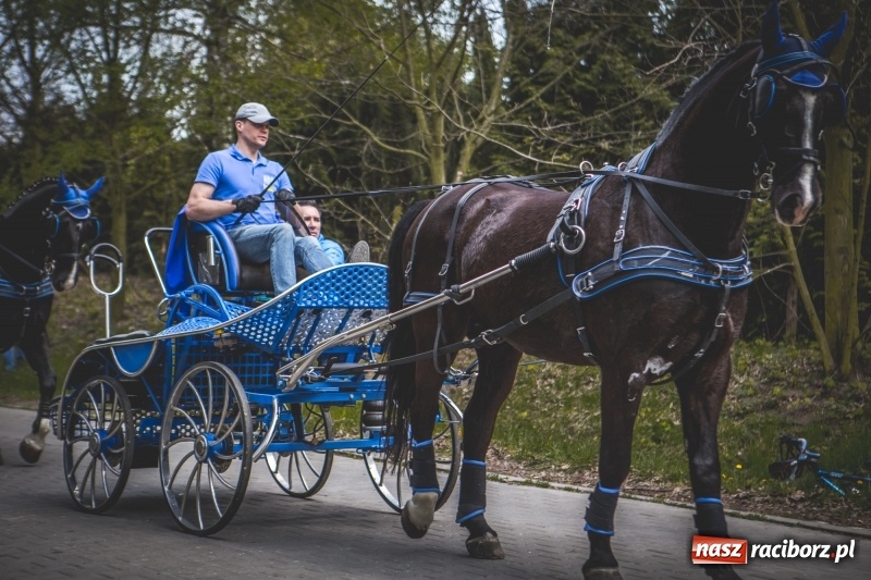 Zdjęcie w galerii na portalu naszraciborz.pl: Procesja konna w Pietrowicach Wielkich z premierem na pokładzie [FOTO i WIDEO] wiadomości z regionu