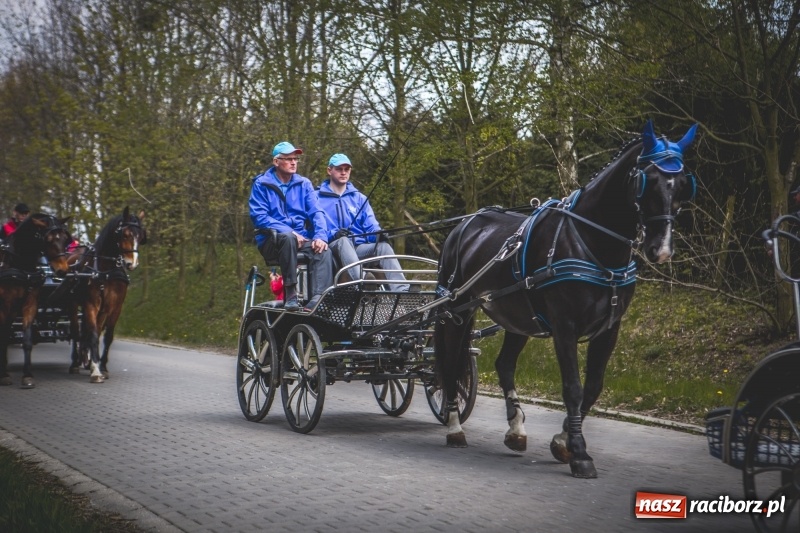Zdjęcie w galerii na portalu naszraciborz.pl: Procesja konna w Pietrowicach Wielkich z premierem na pokładzie [FOTO i WIDEO] wiadomości z regionu
