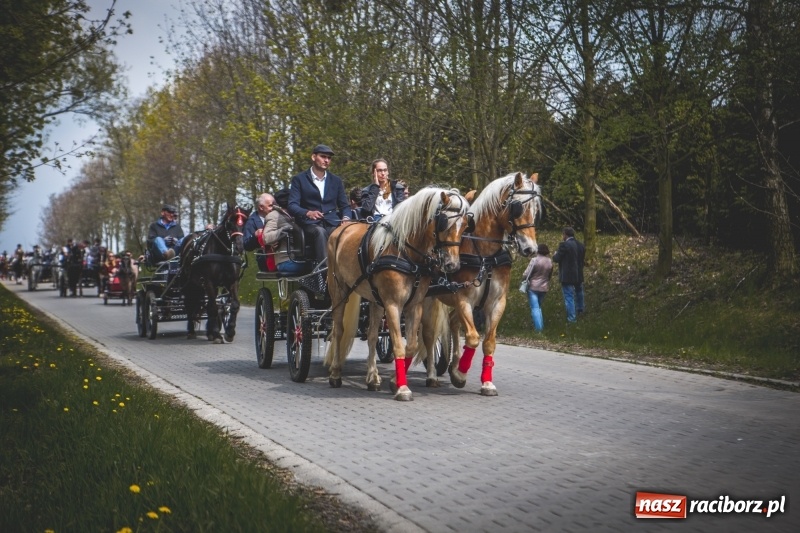 Zdjęcie w galerii na portalu naszraciborz.pl: Procesja konna w Pietrowicach Wielkich z premierem na pokładzie [FOTO i WIDEO] wiadomości z regionu