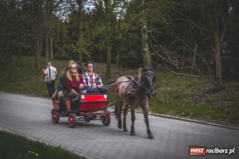 Zdjęcie w galerii na portalu naszraciborz.pl: Procesja konna w Pietrowicach Wielkich z premierem na pokładzie [FOTO i WIDEO] wiadomości z regionu