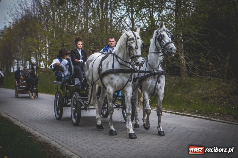 Zdjęcie w galerii na portalu naszraciborz.pl: Procesja konna w Pietrowicach Wielkich z premierem na pokładzie [FOTO i WIDEO] wiadomości z regionu