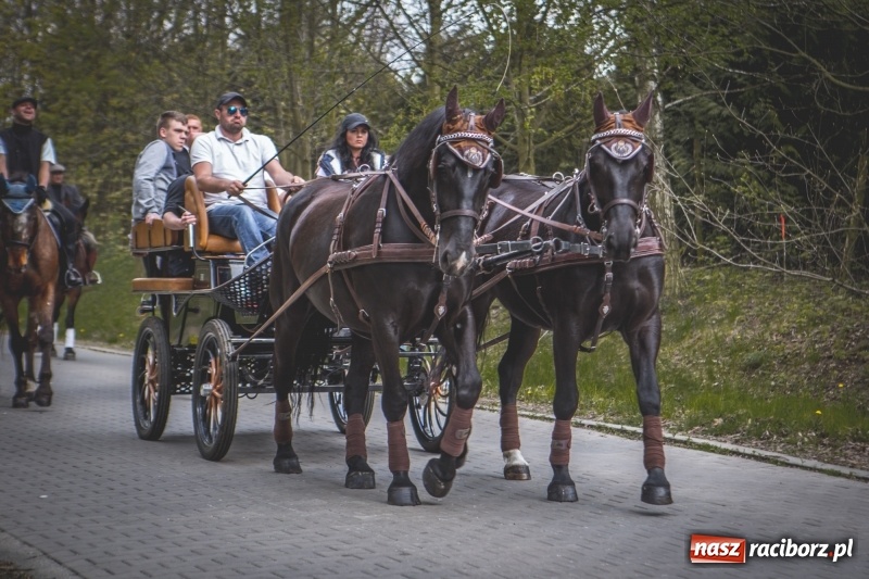 Zdjęcie w galerii na portalu naszraciborz.pl: Procesja konna w Pietrowicach Wielkich z premierem na pokładzie [FOTO i WIDEO] wiadomości z regionu