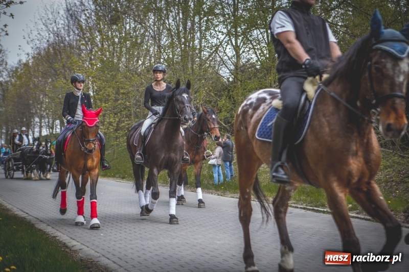 Zdjęcie w galerii na portalu naszraciborz.pl: Procesja konna w Pietrowicach Wielkich z premierem na pokładzie [FOTO i WIDEO] wiadomości z regionu