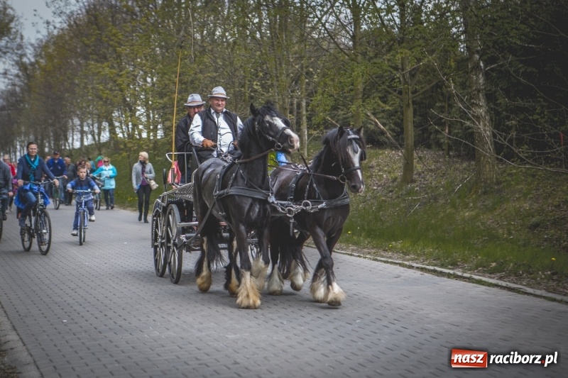 Zdjęcie w galerii na portalu naszraciborz.pl: Procesja konna w Pietrowicach Wielkich z premierem na pokładzie [FOTO i WIDEO] wiadomości z regionu