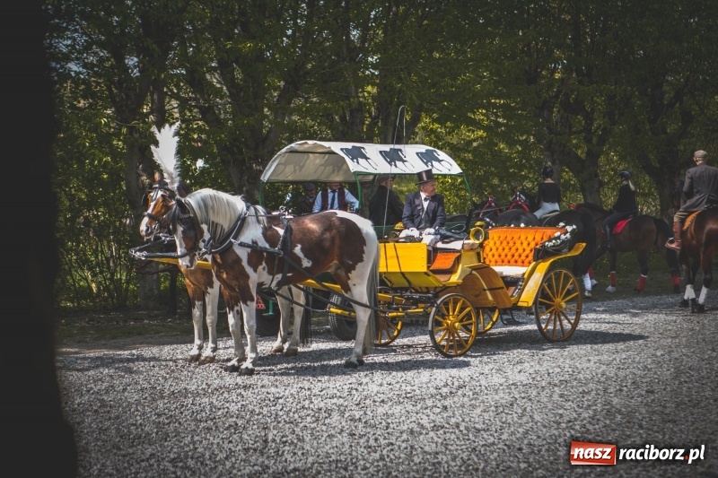 Zdjęcie w galerii na portalu naszraciborz.pl: Procesja konna w Pietrowicach Wielkich z premierem na pokładzie [FOTO i WIDEO] wiadomości z regionu