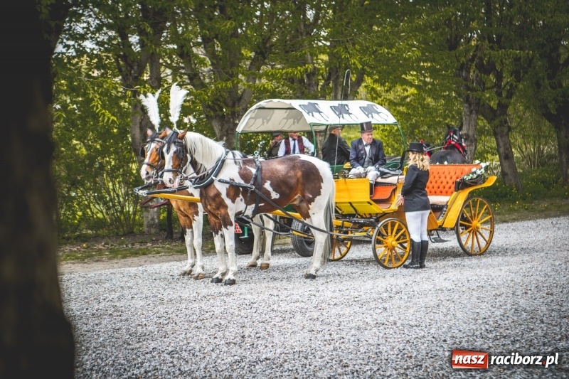 Zdjęcie w galerii na portalu naszraciborz.pl: Procesja konna w Pietrowicach Wielkich z premierem na pokładzie [FOTO i WIDEO] wiadomości z regionu
