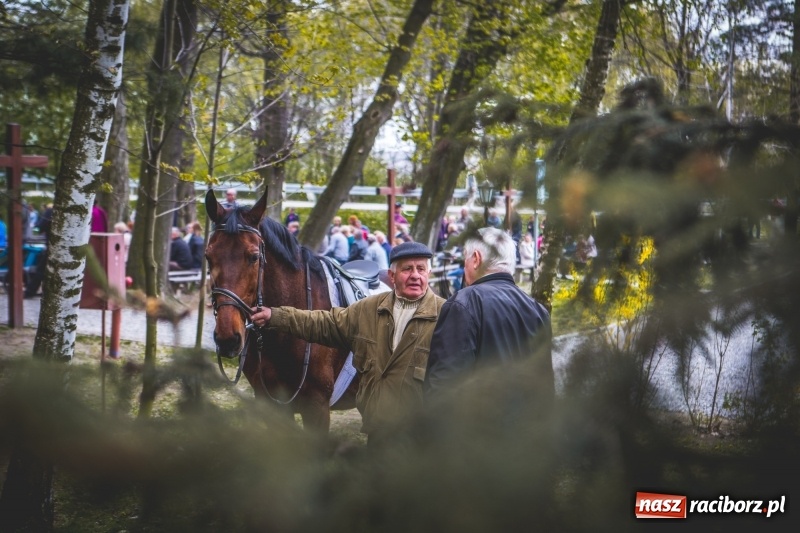 Zdjęcie w galerii na portalu naszraciborz.pl: Procesja konna w Pietrowicach Wielkich z premierem na pokładzie [FOTO i WIDEO] wiadomości z regionu