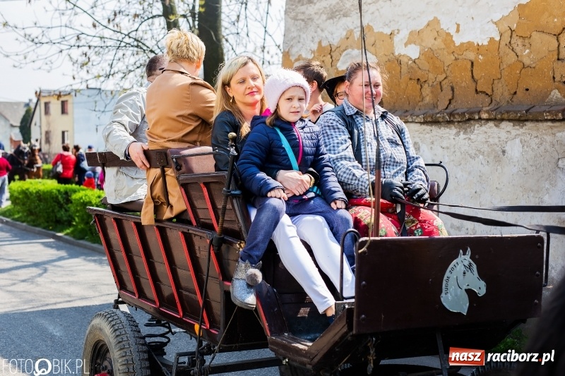 Zdjęcie w galerii na portalu naszraciborz.pl: Procesja w Sudole. Groźny upadek na początek wyścigów [FOTO] wiadomości z regionu