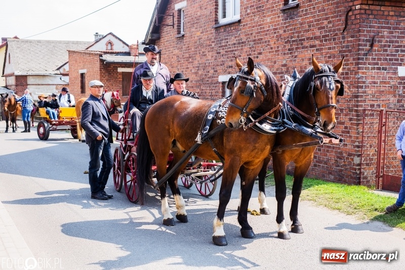 Zdjęcie w galerii na portalu naszraciborz.pl: Procesja w Sudole. Groźny upadek na początek wyścigów [FOTO] wiadomości z regionu