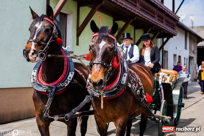 Zdjęcie w galerii na portalu naszraciborz.pl: Procesja w Sudole. Groźny upadek na początek wyścigów [FOTO] wiadomości z regionu