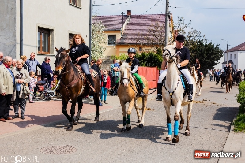 Zdjęcie w galerii na portalu naszraciborz.pl: Procesja w Sudole. Groźny upadek na początek wyścigów [FOTO] wiadomości z regionu