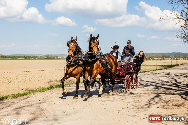 Zdjęcie w galerii na portalu naszraciborz.pl: Procesja w Sudole. Groźny upadek na początek wyścigów [FOTO] wiadomości z regionu