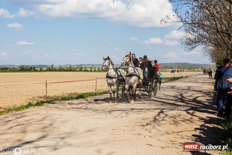 Zdjęcie w galerii na portalu naszraciborz.pl: Procesja w Sudole. Groźny upadek na początek wyścigów [FOTO] wiadomości z regionu