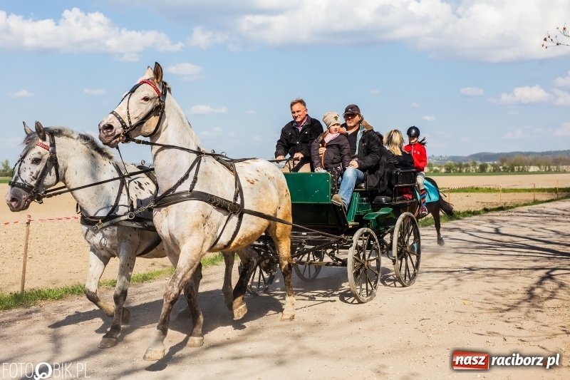 Zdjęcie w galerii na portalu naszraciborz.pl: Procesja w Sudole. Groźny upadek na początek wyścigów [FOTO] wiadomości z regionu