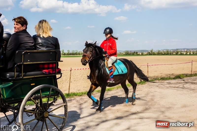 Zdjęcie w galerii na portalu naszraciborz.pl: Procesja w Sudole. Groźny upadek na początek wyścigów [FOTO] wiadomości z regionu