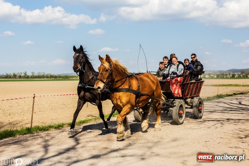 Zdjęcie w galerii na portalu naszraciborz.pl: Procesja w Sudole. Groźny upadek na początek wyścigów [FOTO] wiadomości z regionu