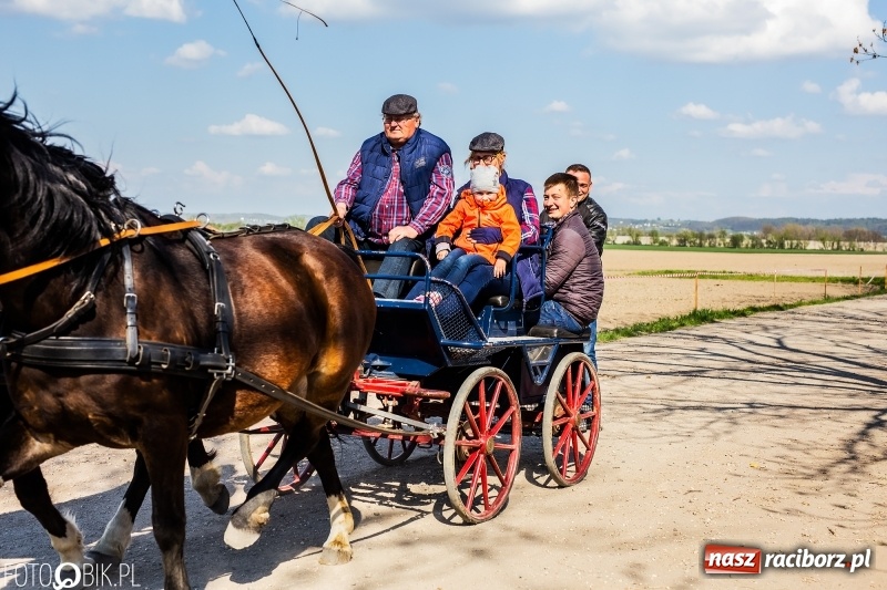 Zdjęcie w galerii na portalu naszraciborz.pl: Procesja w Sudole. Groźny upadek na początek wyścigów [FOTO] wiadomości z regionu