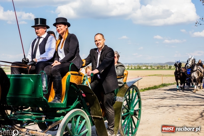 Zdjęcie w galerii na portalu naszraciborz.pl: Procesja w Sudole. Groźny upadek na początek wyścigów [FOTO] wiadomości z regionu