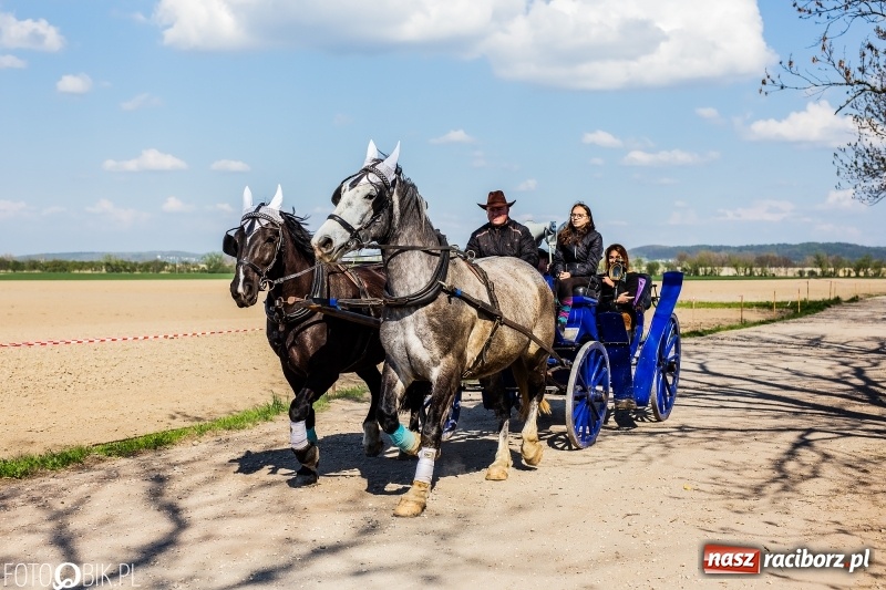 Zdjęcie w galerii na portalu naszraciborz.pl: Procesja w Sudole. Groźny upadek na początek wyścigów [FOTO] wiadomości z regionu