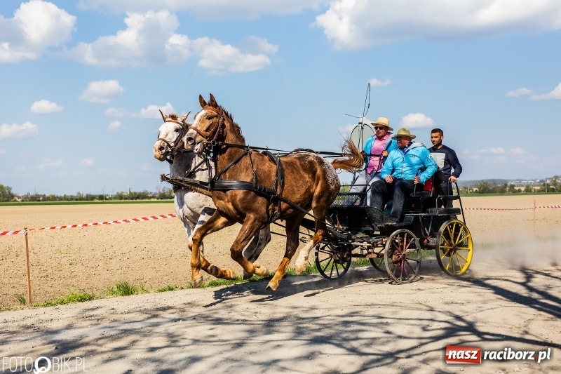 Zdjęcie w galerii na portalu naszraciborz.pl: Procesja w Sudole. Groźny upadek na początek wyścigów [FOTO] wiadomości z regionu