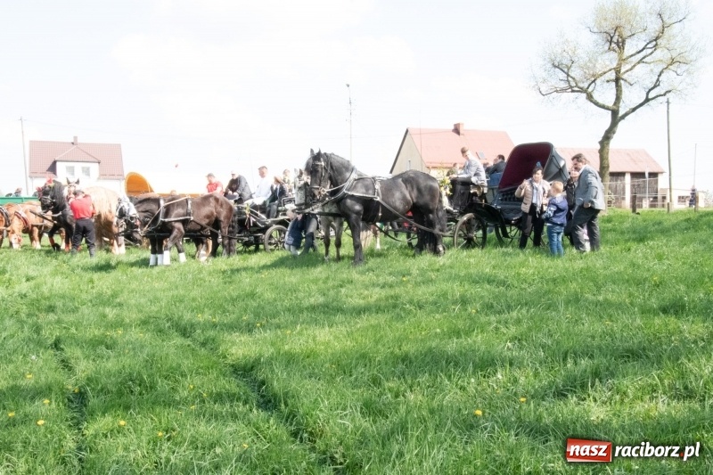Zdjęcie w galerii na portalu naszraciborz.pl: Konna procesja wielkanocna w Zawadzie Książęcej [FOTO] wiadomości z regionu