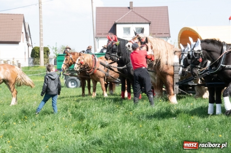 Zdjęcie w galerii na portalu naszraciborz.pl: Konna procesja wielkanocna w Zawadzie Książęcej [FOTO] wiadomości z regionu