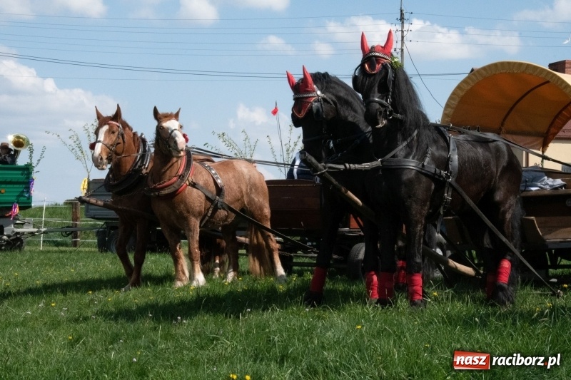Zdjęcie w galerii na portalu naszraciborz.pl: Konna procesja wielkanocna w Zawadzie Książęcej [FOTO] wiadomości z regionu